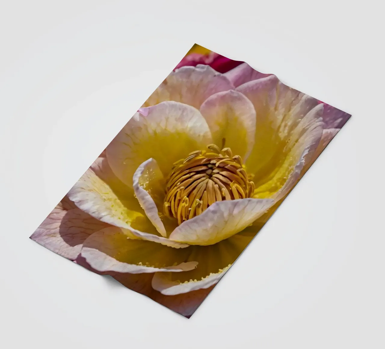 un vivace fiore di camelia giallo e rosa in fiore coperta in pile da DesignDoodle