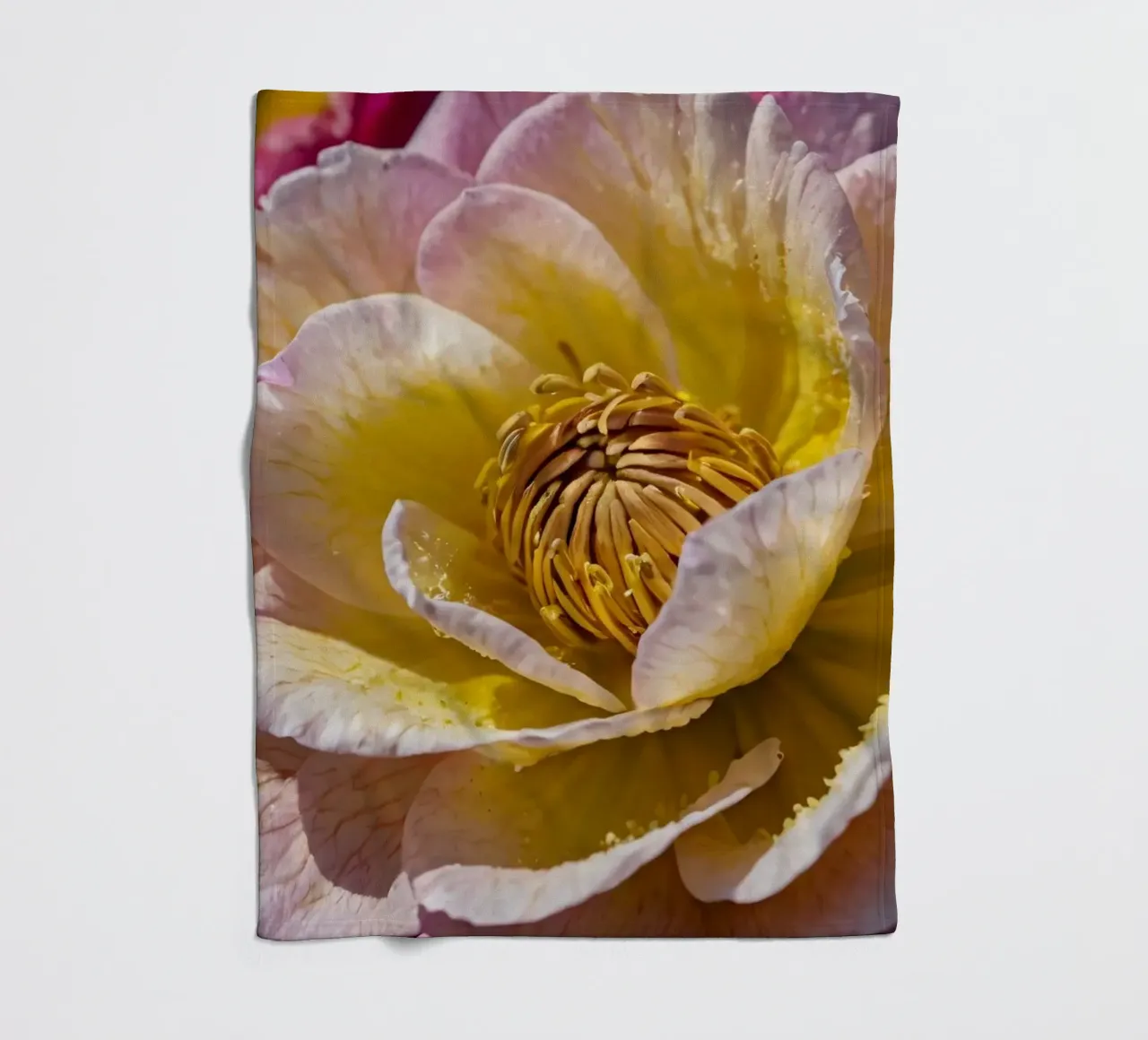 un vivace fiore di camelia giallo e rosa in fiore coperta in pile da DesignDoodle