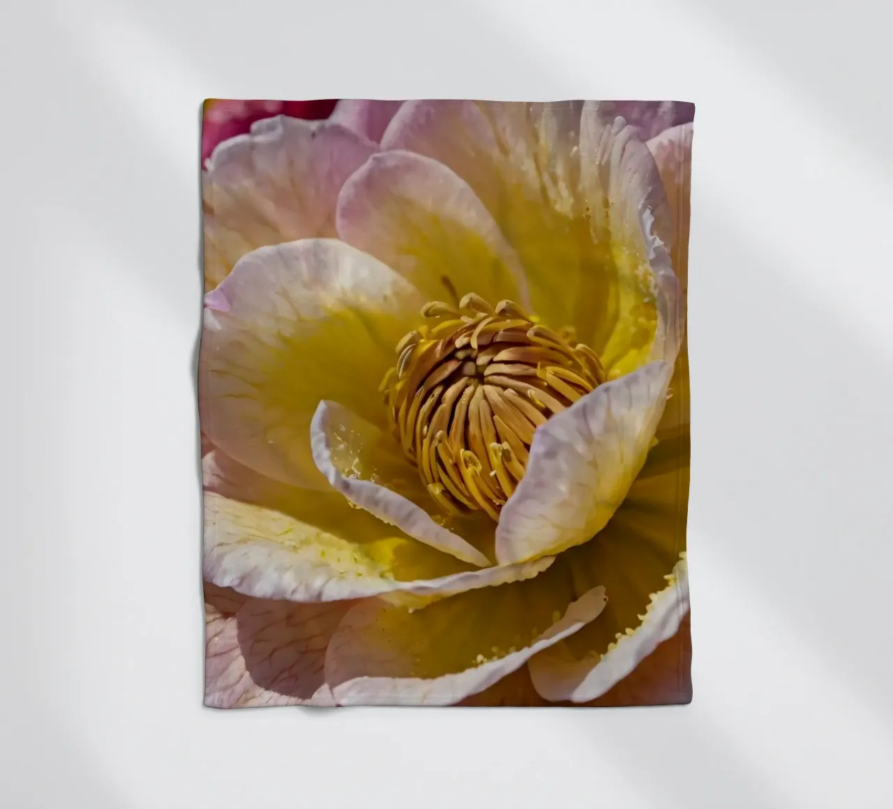 un vivace fiore di camelia giallo e rosa in fiore coperta in pile da DesignDoodle