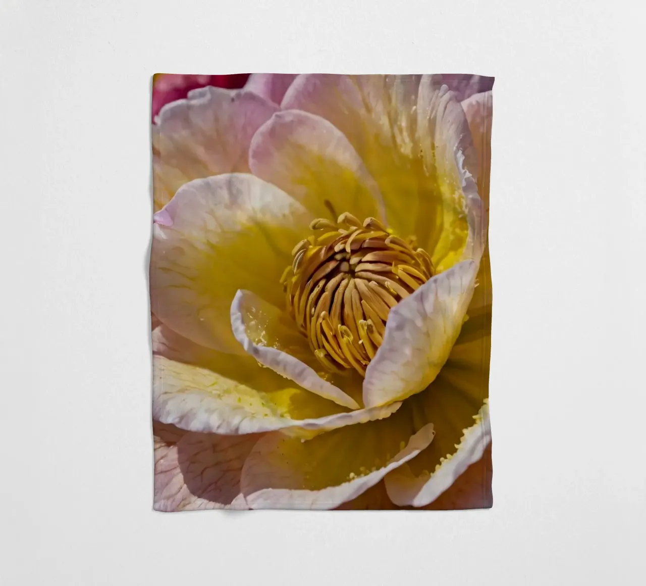 un vivace fiore di camelia giallo e rosa in fiore coperta in pile da DesignDoodle