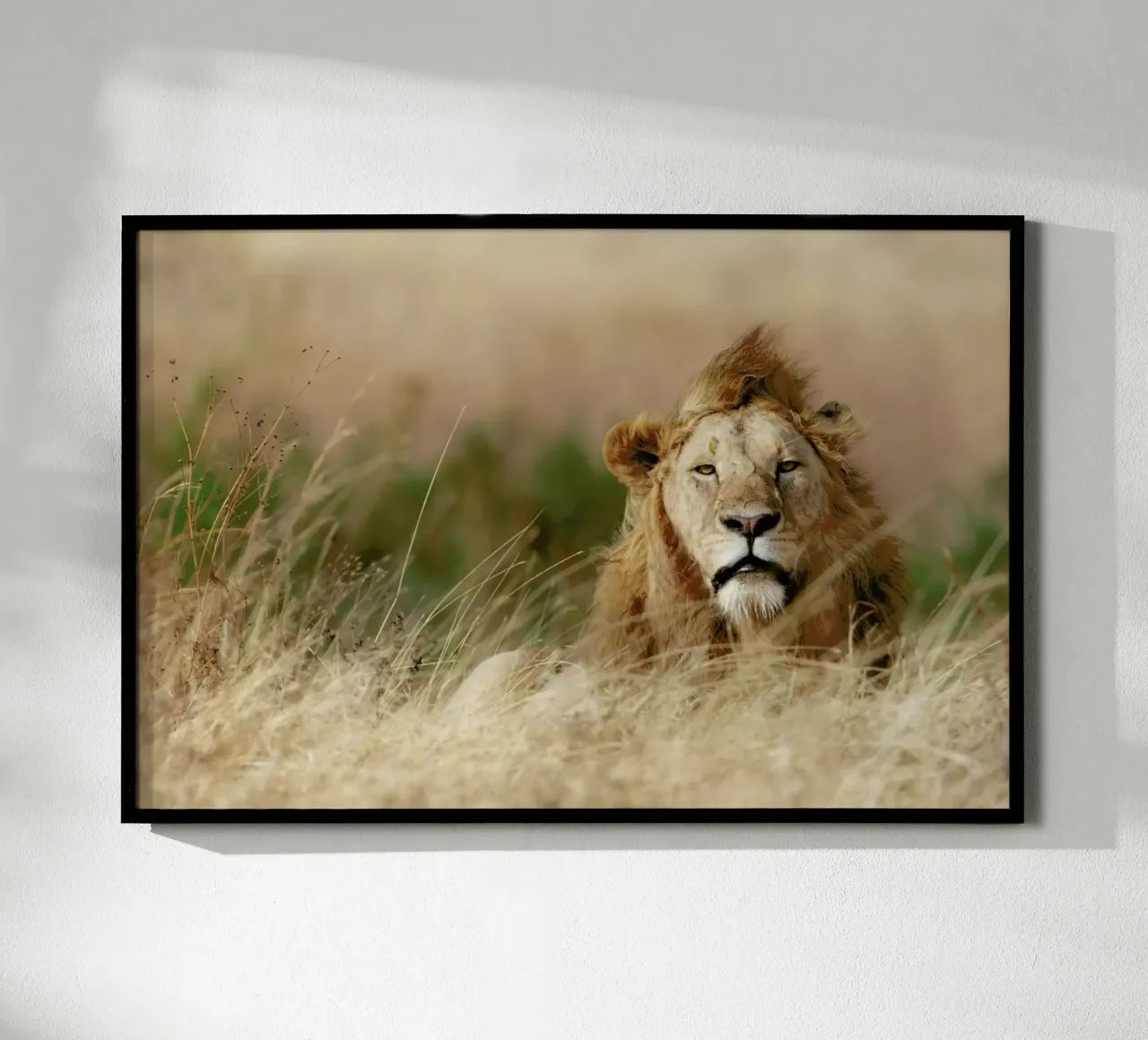 Handsome! - Ali Khataw poster de Pictufy