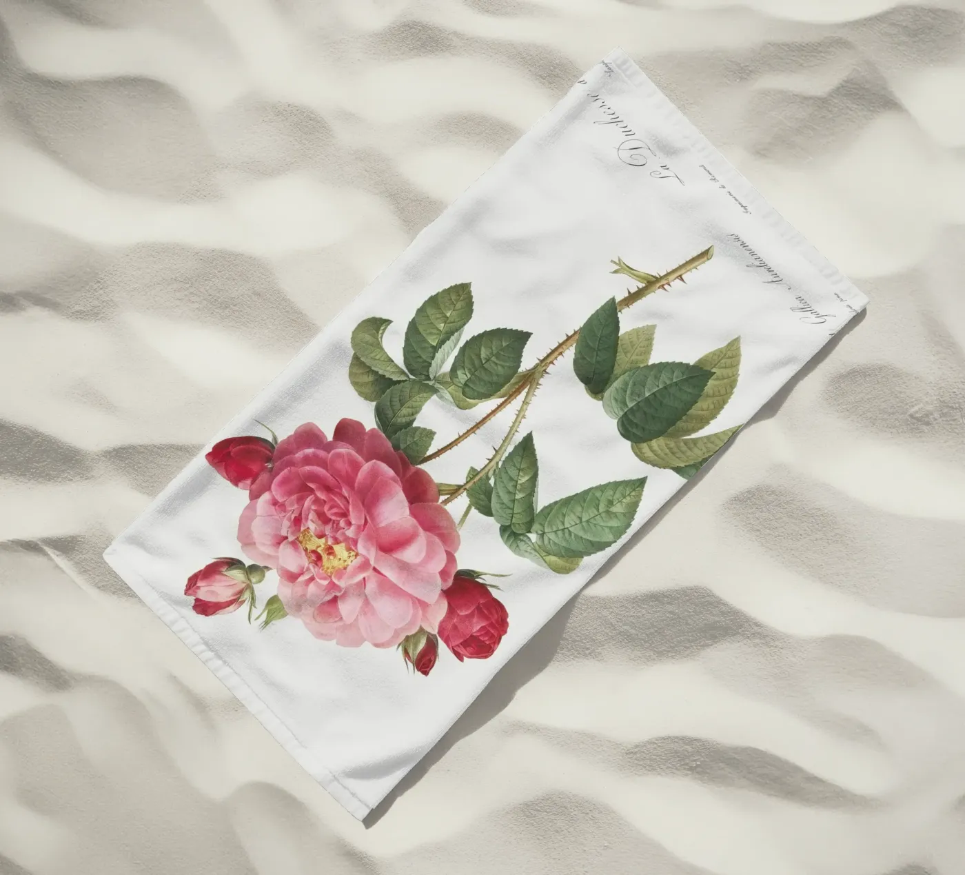 Pink Rose telo mare da Venus Art