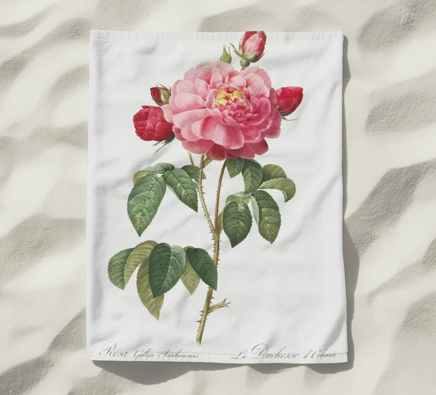 Pink Rose telo mare da Venus Art