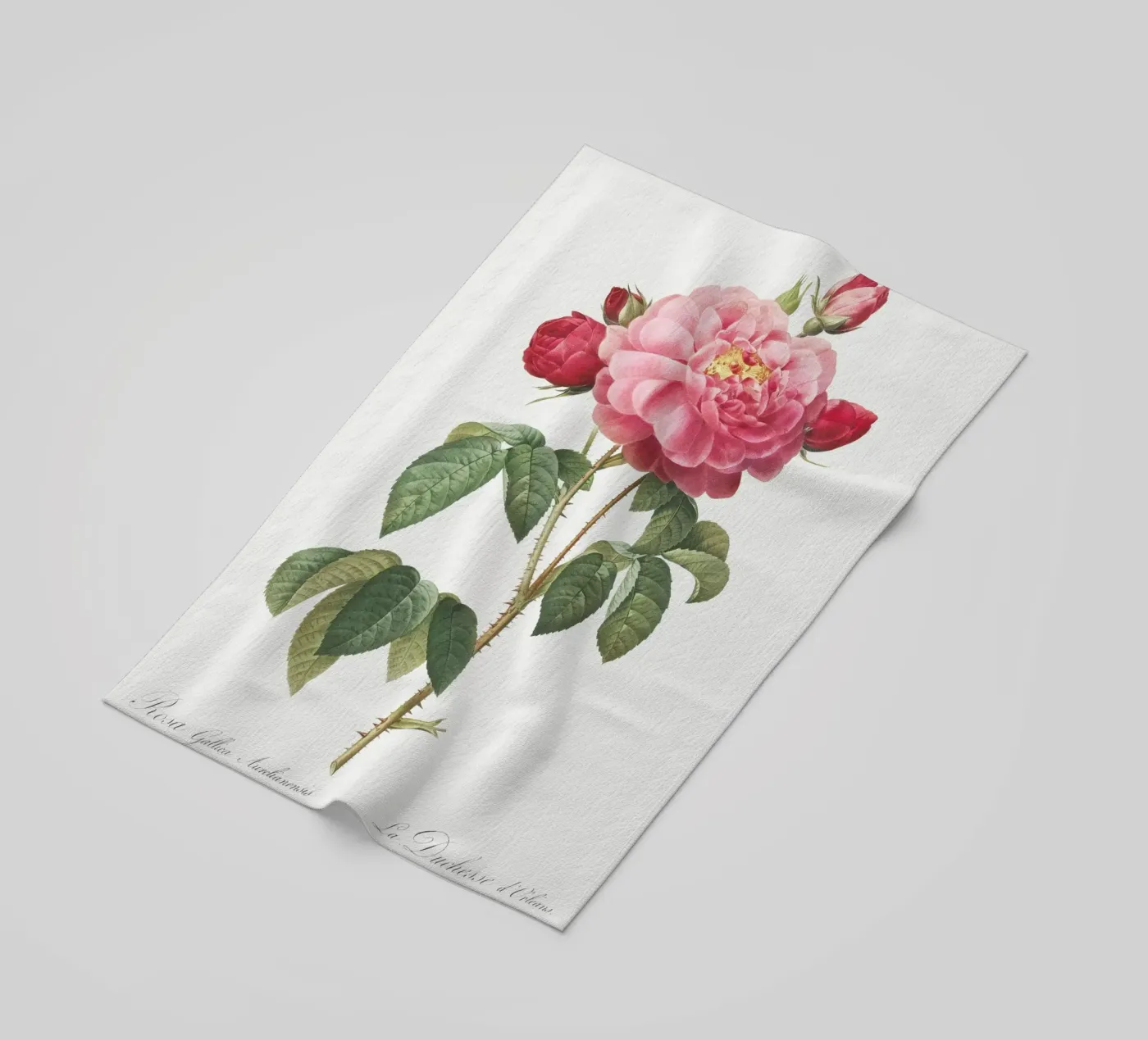 Pink Rose telo mare da Venus Art