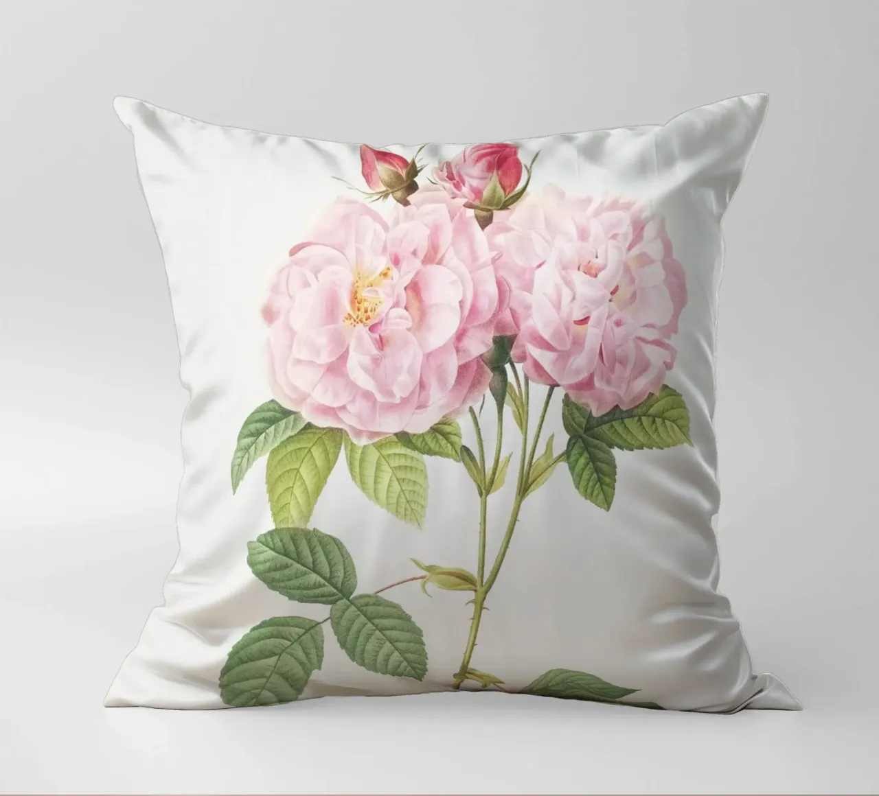 Pink Roses Botanical Print decorative cushion by Venus Art
