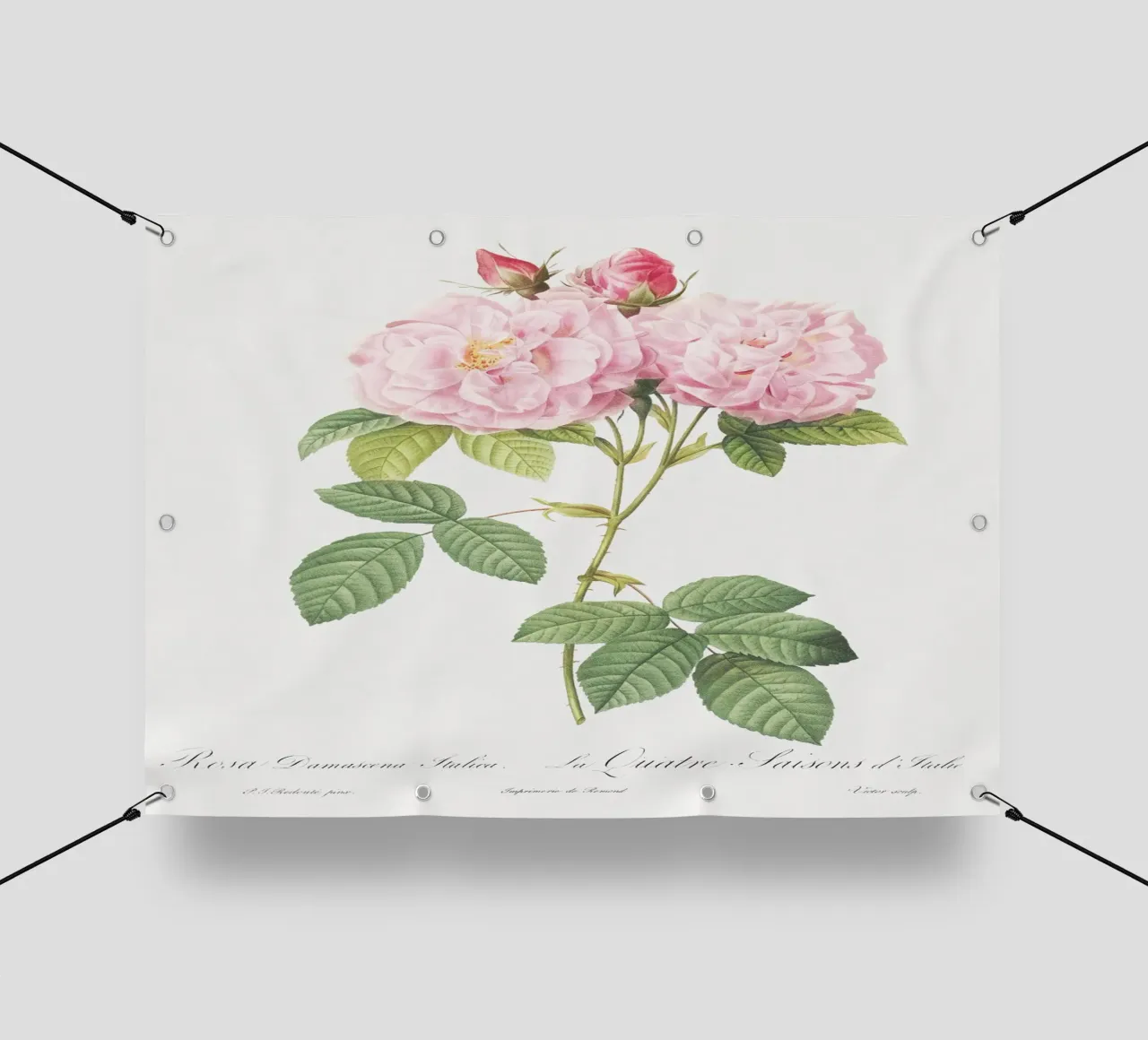 Pink Roses Botanical Print pvc cover by Venus Art