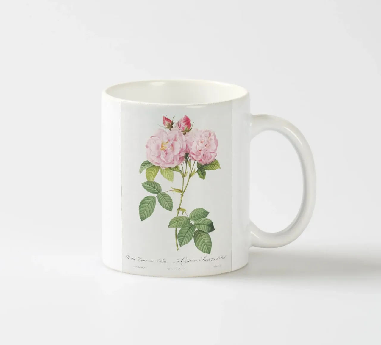 Pink Roses Botanical Print tazza in ceramica da Venus Art