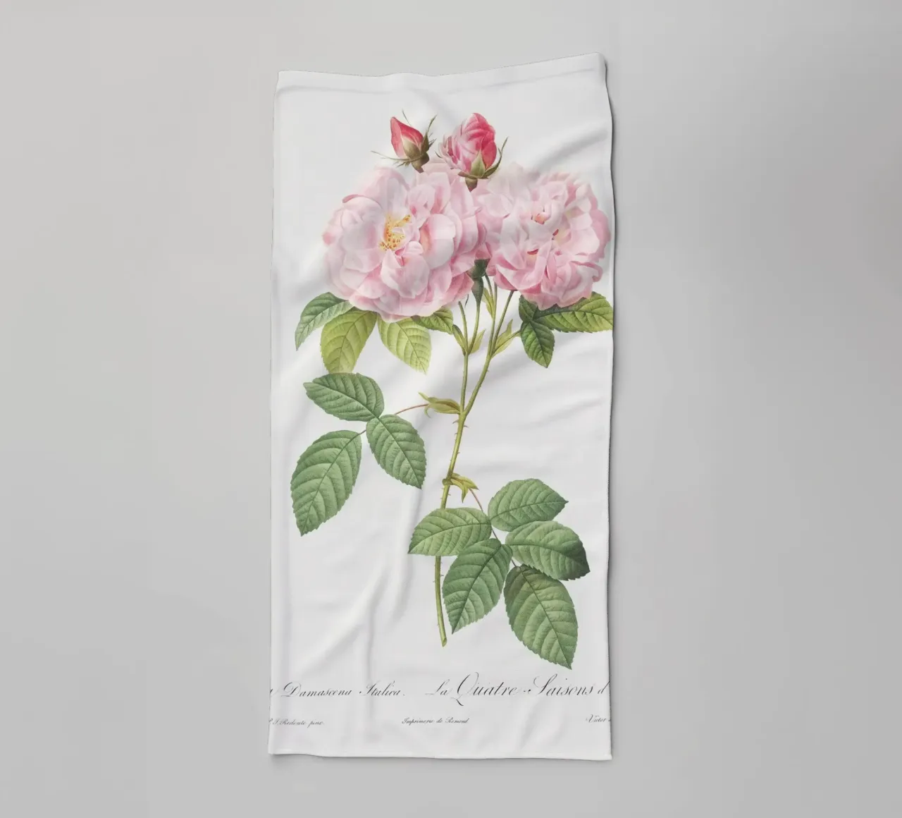 Pink Roses Botanical Print towel by Venus Art