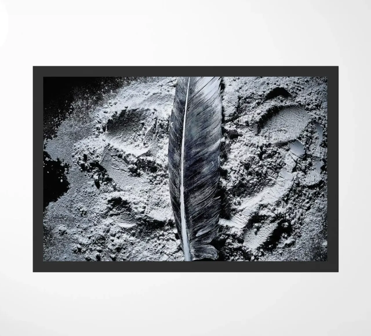 Federn 3 zerbino da neon* fotografie