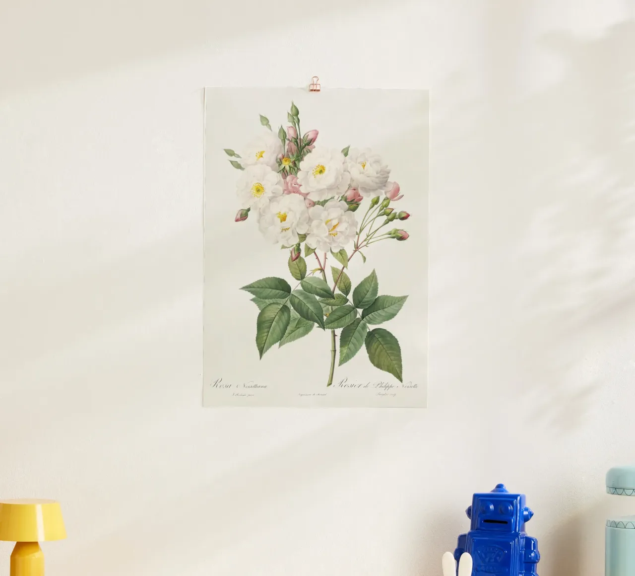 White Roses poster con telaio in alluminio da Venus Art