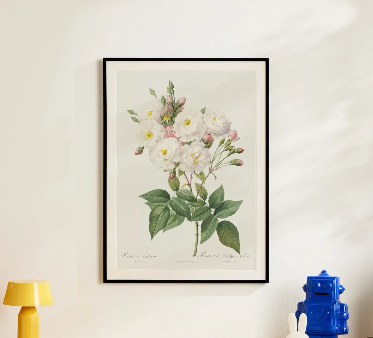 White Roses poster con telaio in alluminio da Venus Art