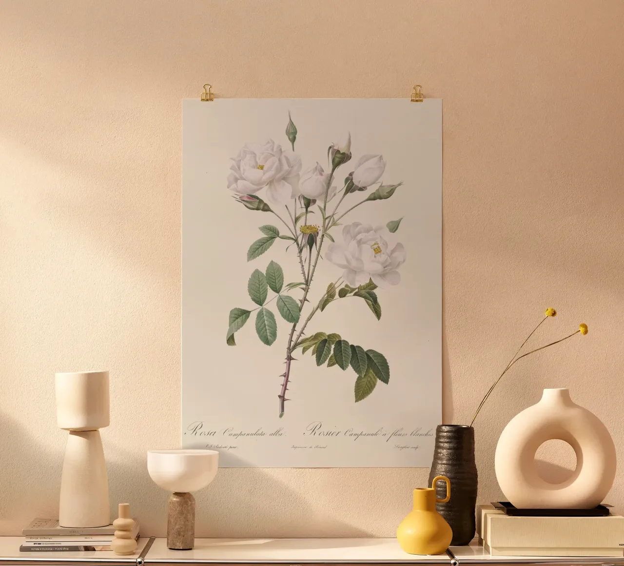 White Roses Botanical Illustration poster da Venus Art