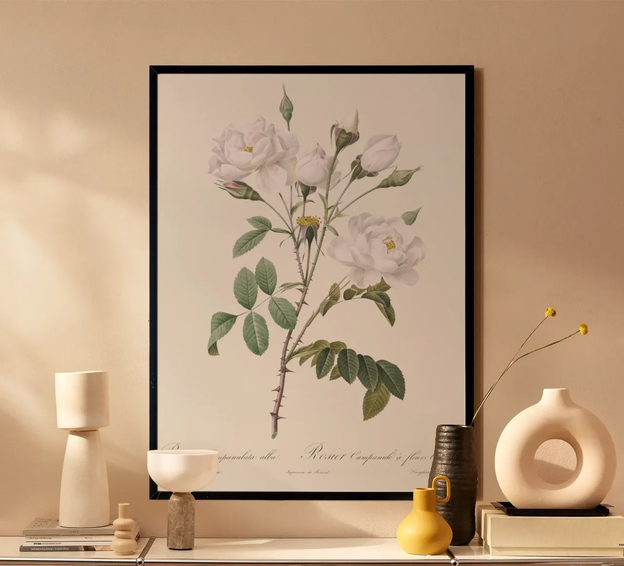 White Roses Botanical Illustration poster da Venus Art