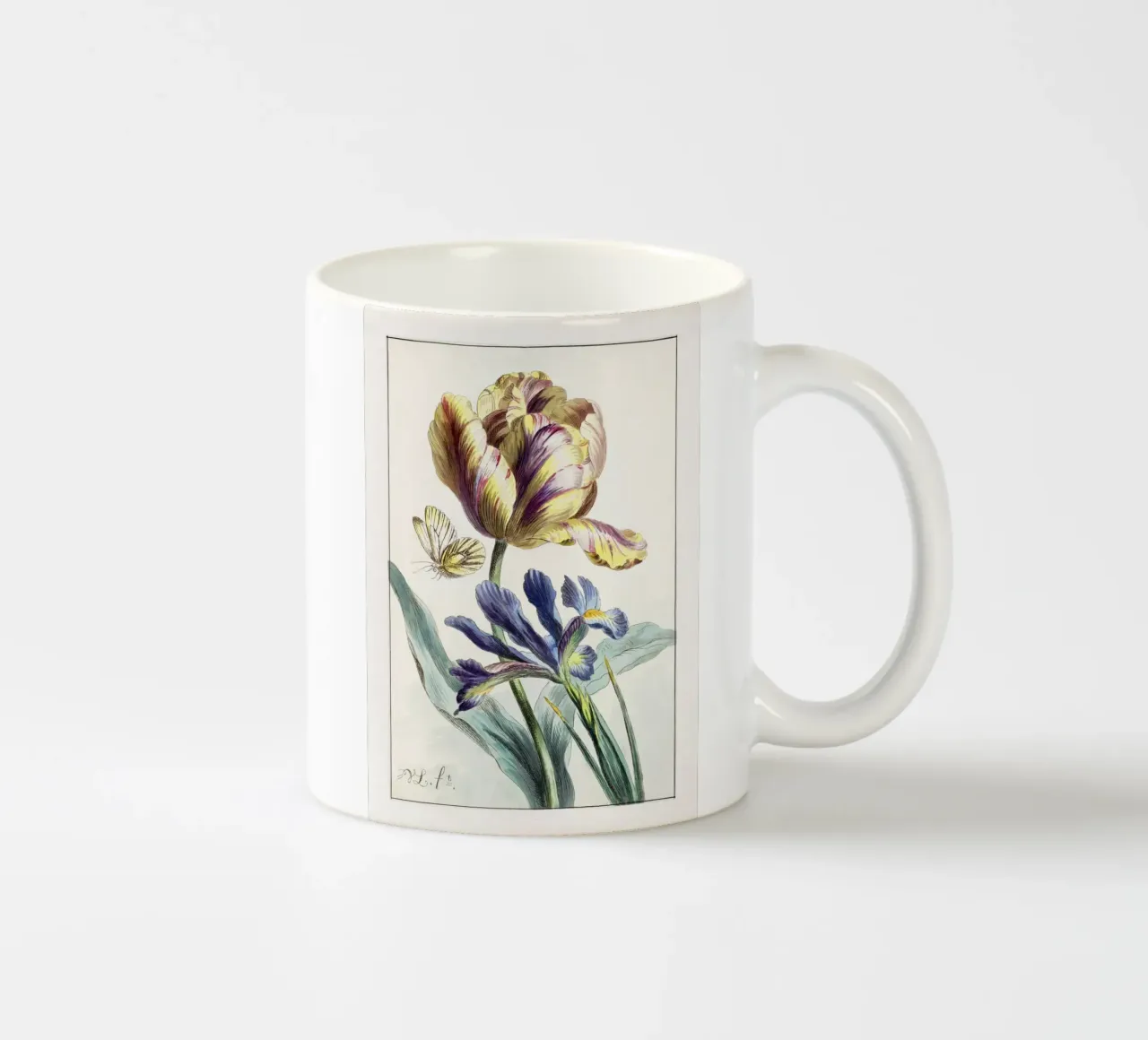 Tulip Spring Botanical Illustration tazza in ceramica da Venus Art