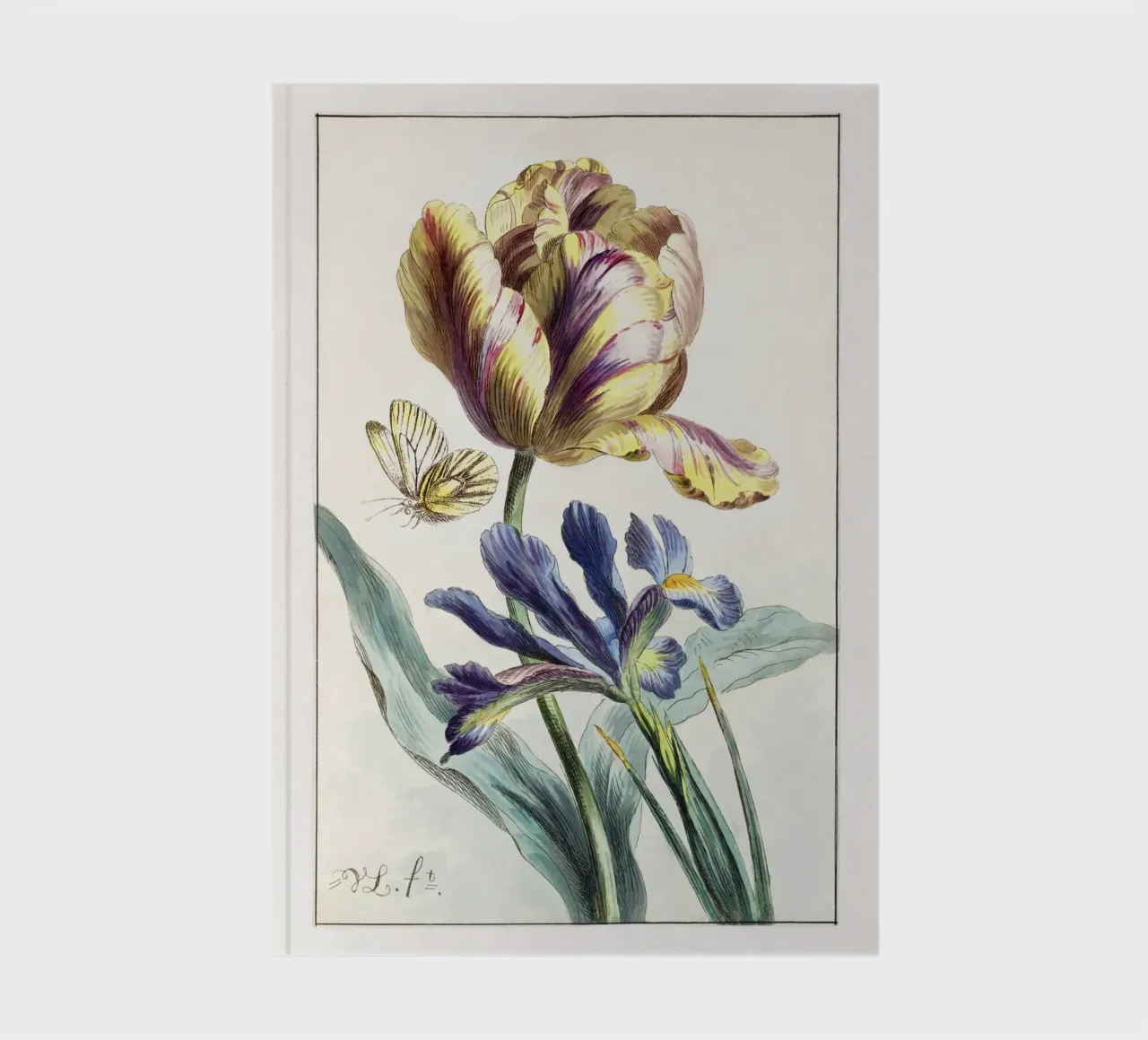 Tulip Spring Botanical Illustration diario da Venus Art
