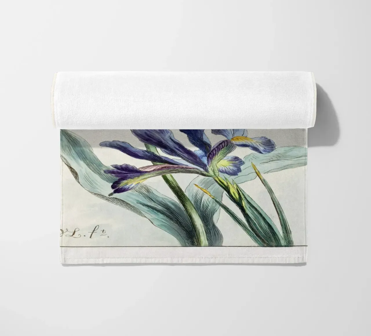 Tulip Spring Botanical Illustration telo mare da Venus Art