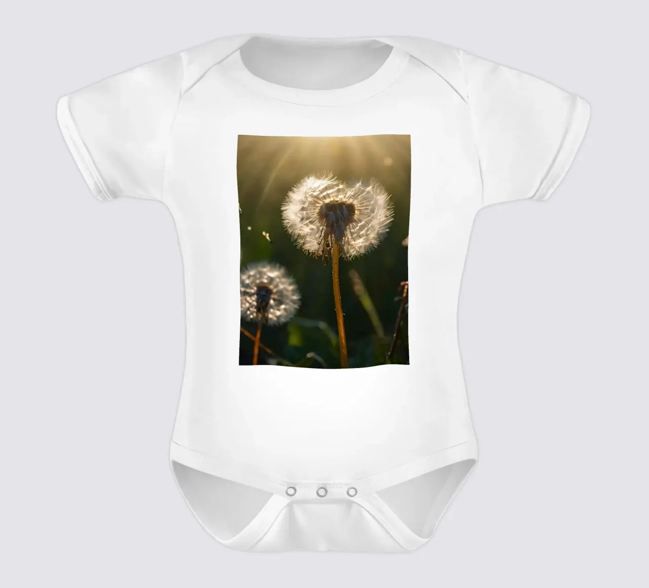 Dandelions illuminated by sunlight in a lush green field short-sleeve baby romper by DesignDoodle