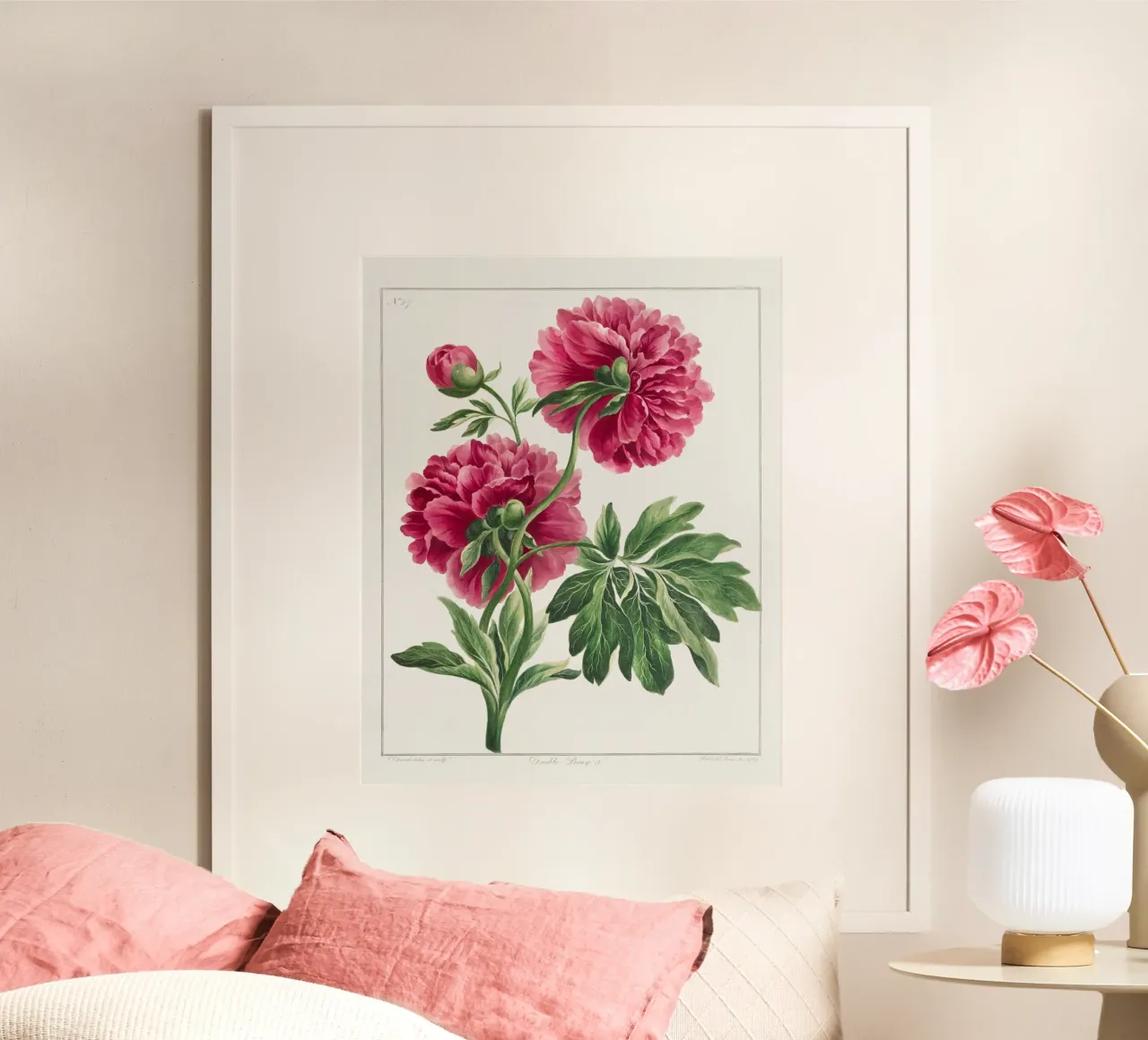 Pink Peonies poster con telaio in plastica da Venus Art