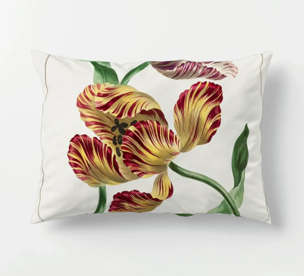 Tulips cuscino da Venus Art
