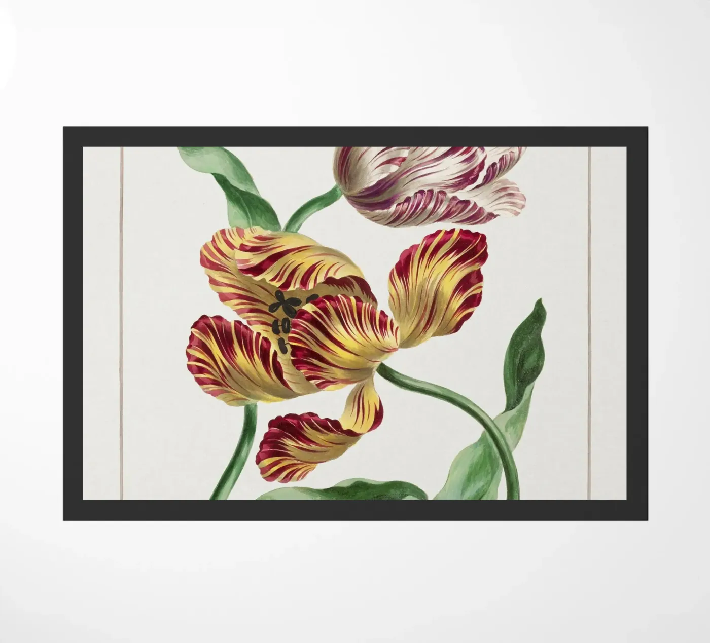 Tulips doormat by Venus Art