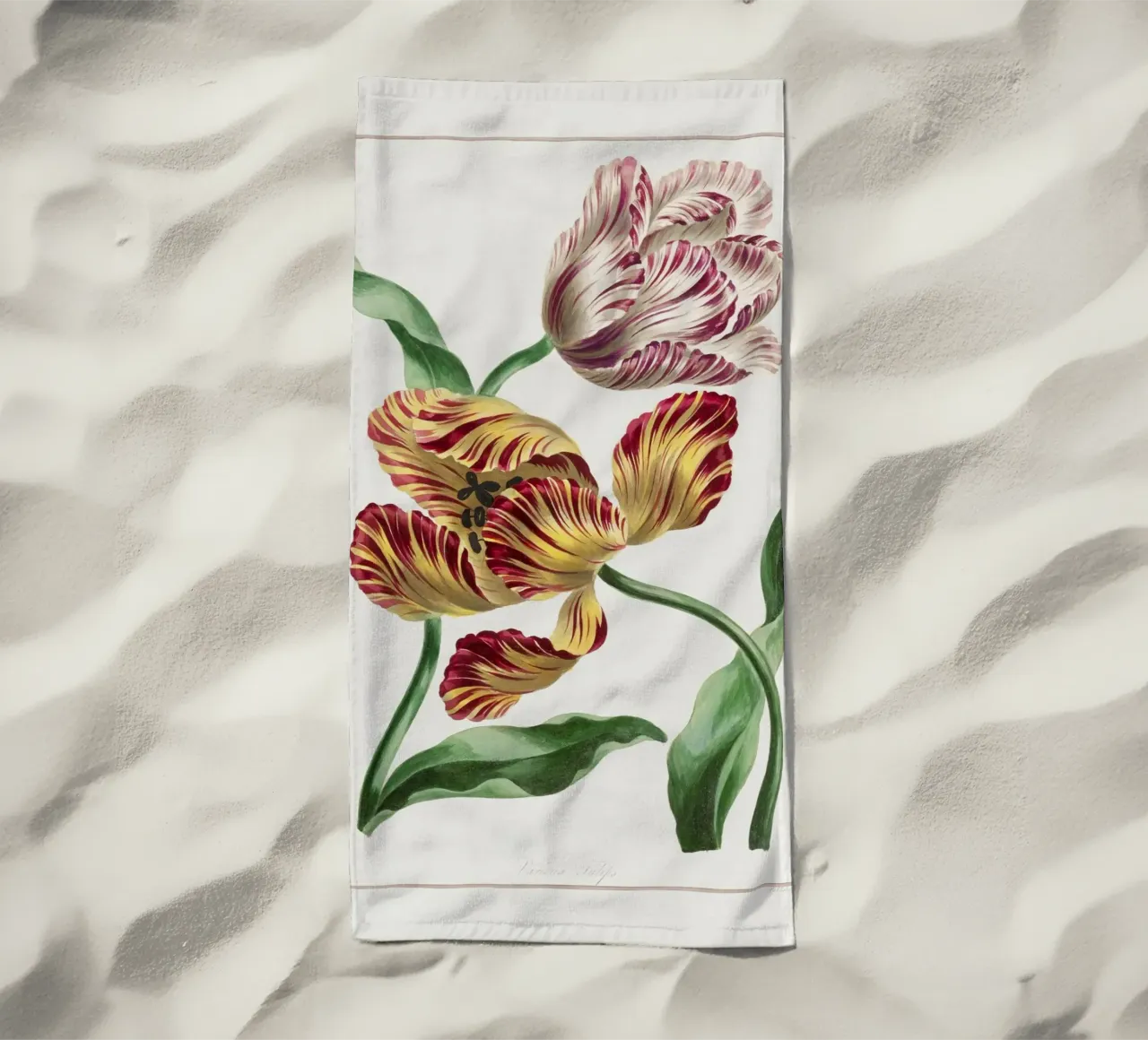 Tulips telo mare da Venus Art