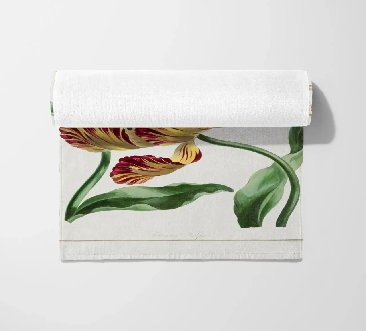 Tulips telo mare da Venus Art