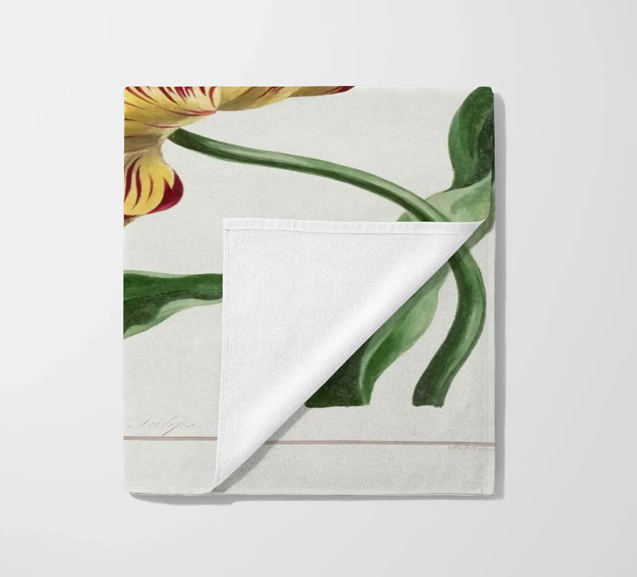 Tulips telo mare da Venus Art