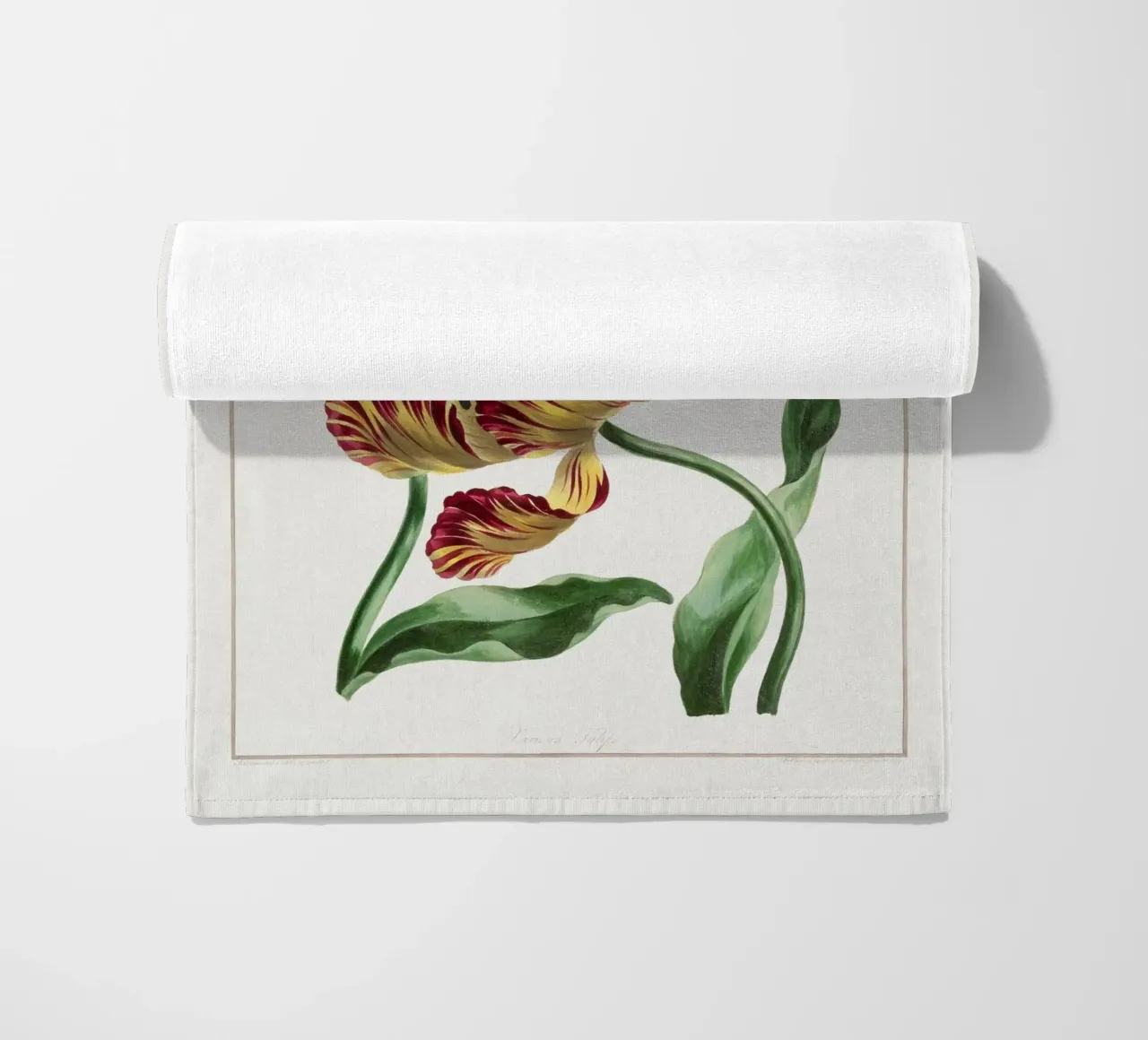 Tulips telo mare da Venus Art