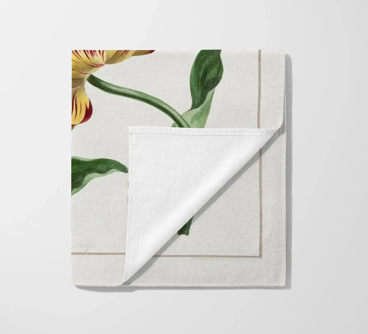 Tulips telo mare da Venus Art