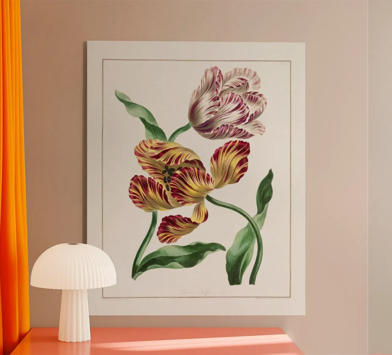 Tulips acrylic glass by Venus Art