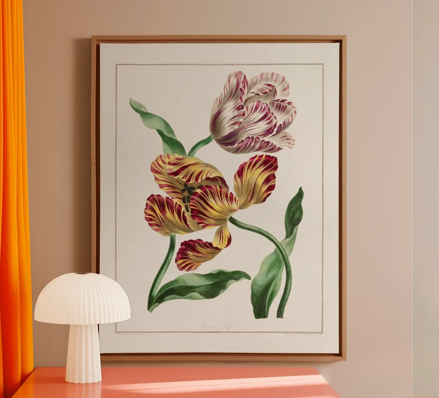 Tulips tela da Venus Art