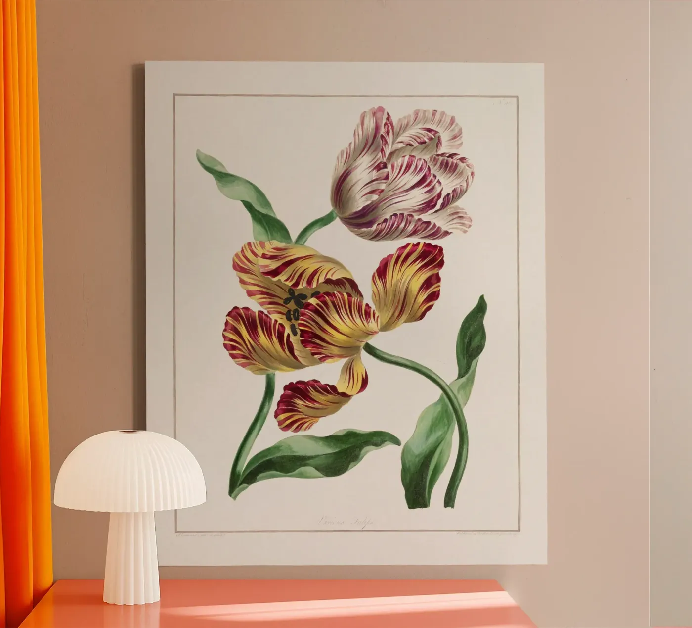 Tulips tela da Venus Art