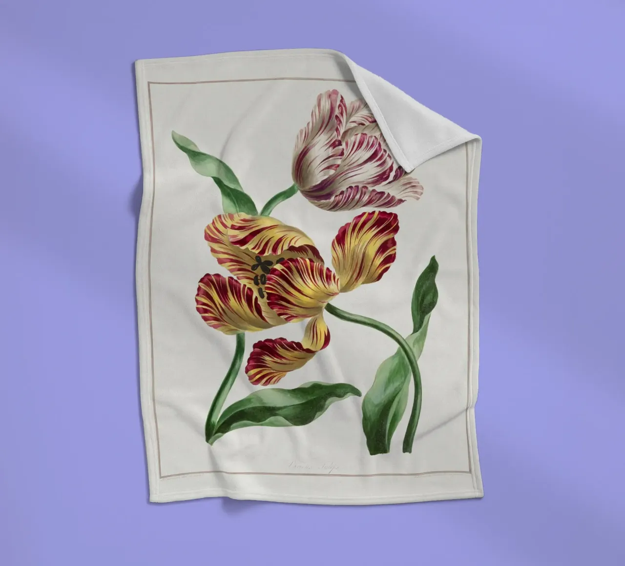 Tulips coperta in pile da Venus Art