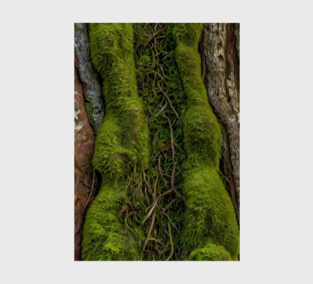 Écorce d'arbre texturée avec mousse vert vif et vin complexe. carnet de notes de DesignDoodle