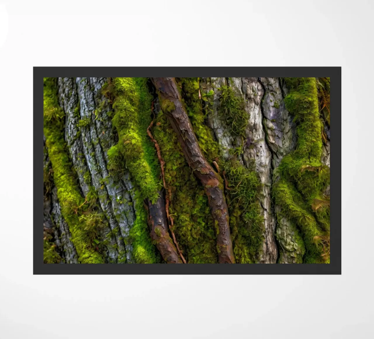 Moss-covered tree bark with twisting branches in a forest doormat by DesignDoodle