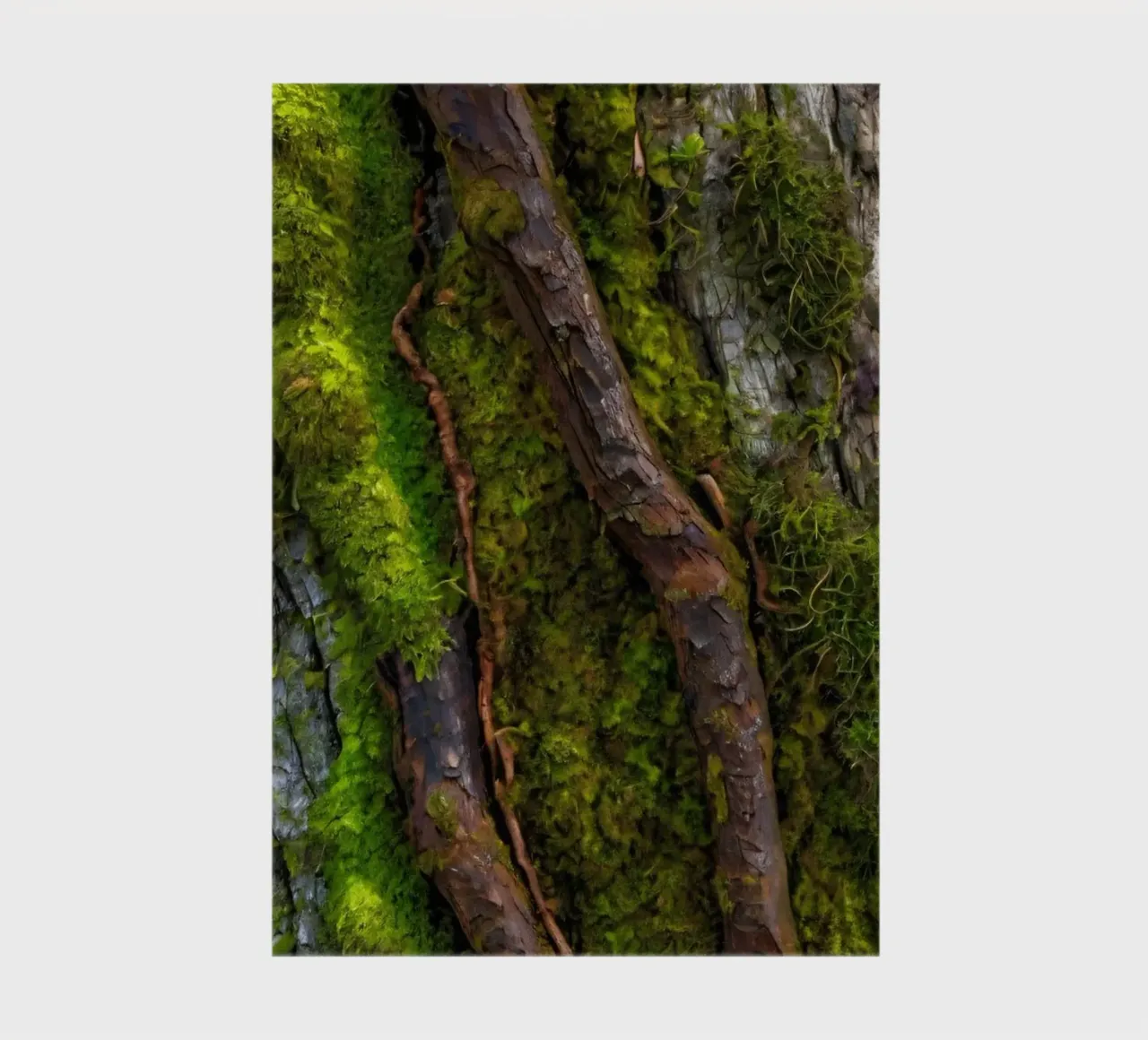 Moss-covered tree bark with twisting branches in a forest notebook by DesignDoodle
