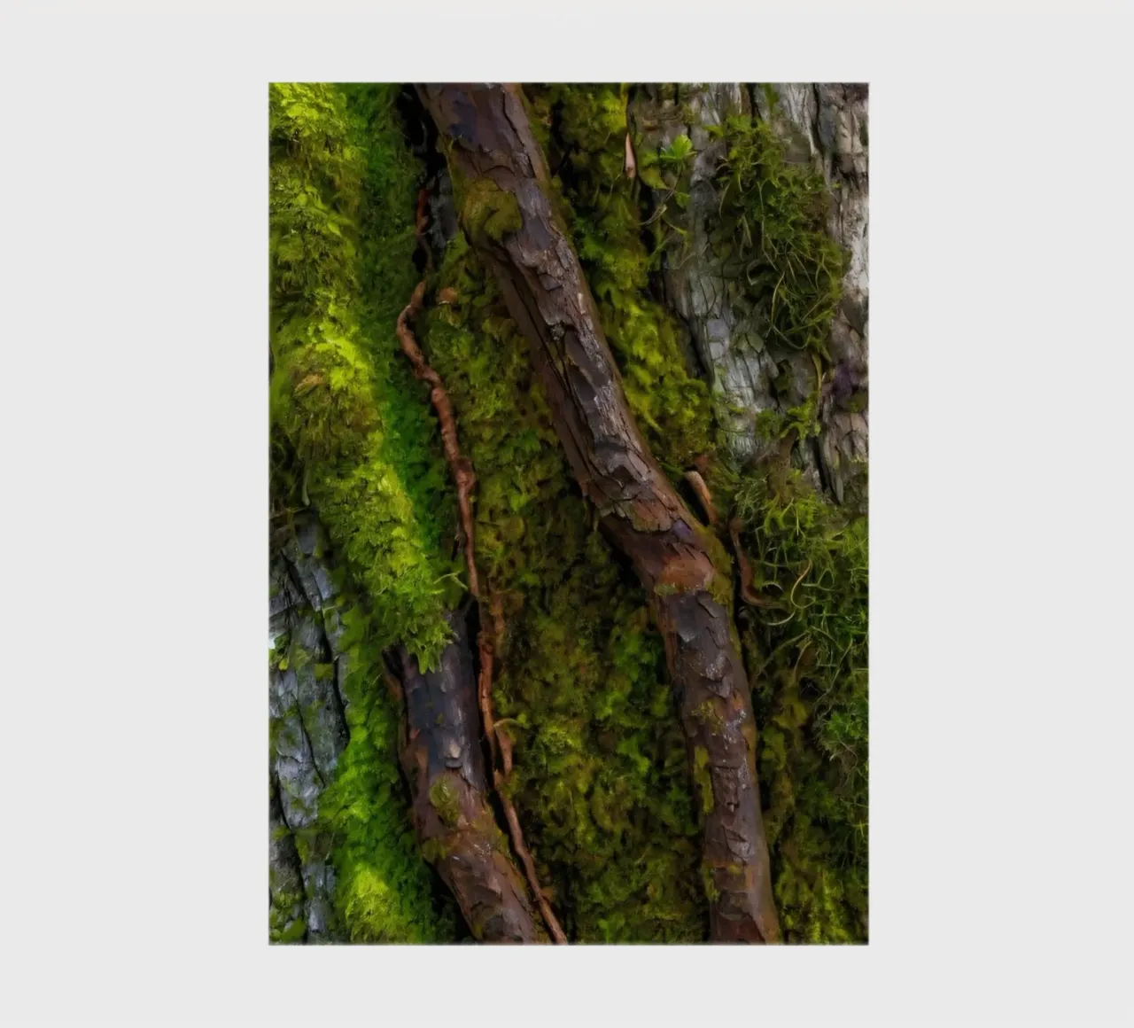 Moss-covered tree bark with twisting branches in a forest notebook by DesignDoodle