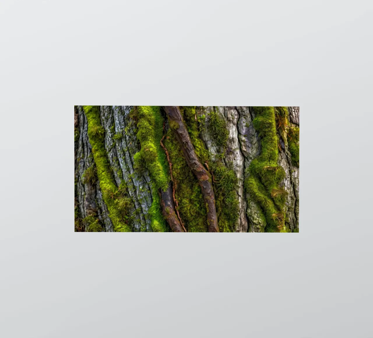 Moss-covered tree bark with twisting branches in a forest sticker by DesignDoodle