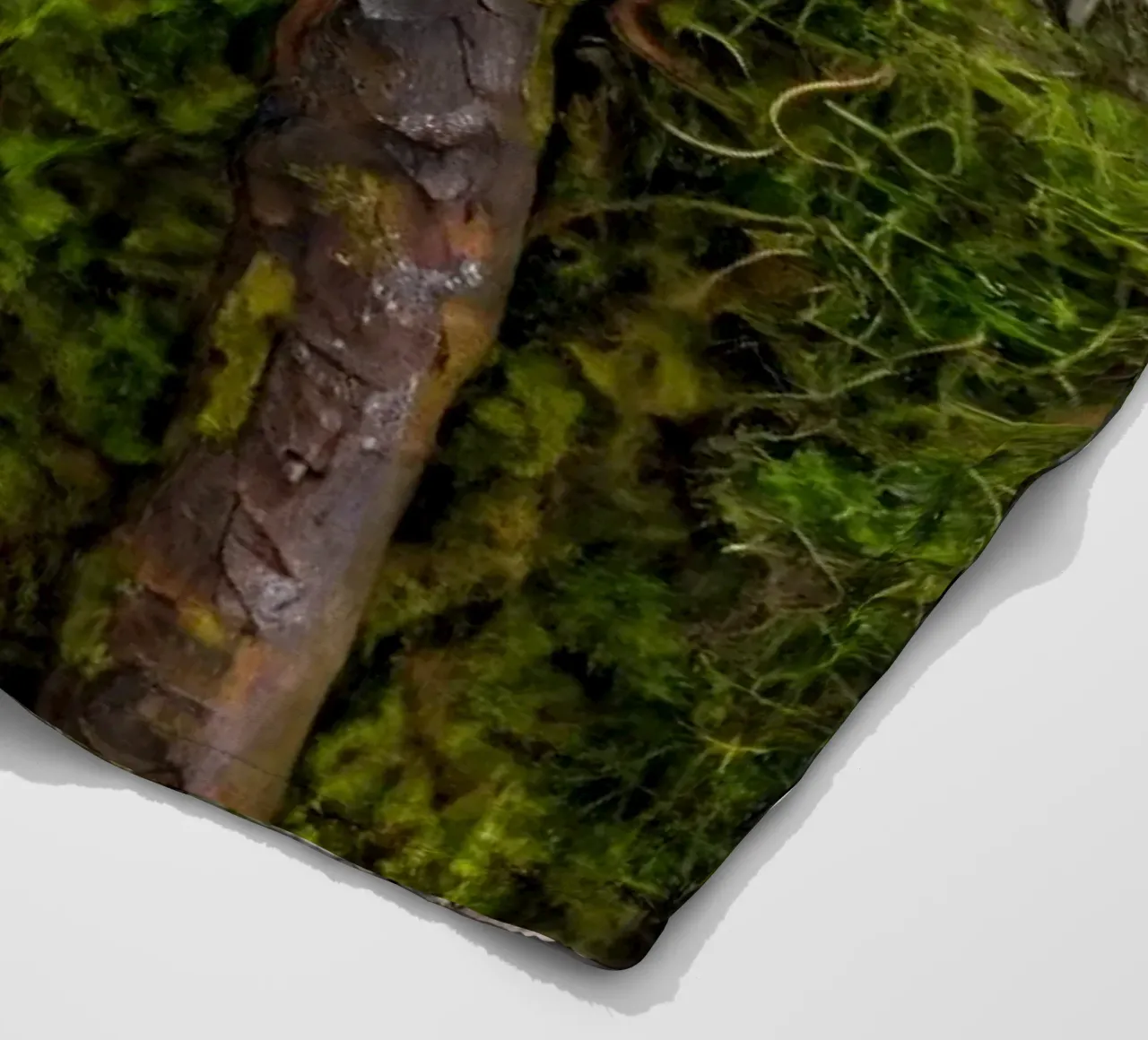 Moss-covered tree bark with twisting branches in a forest fleece blanket by DesignDoodle