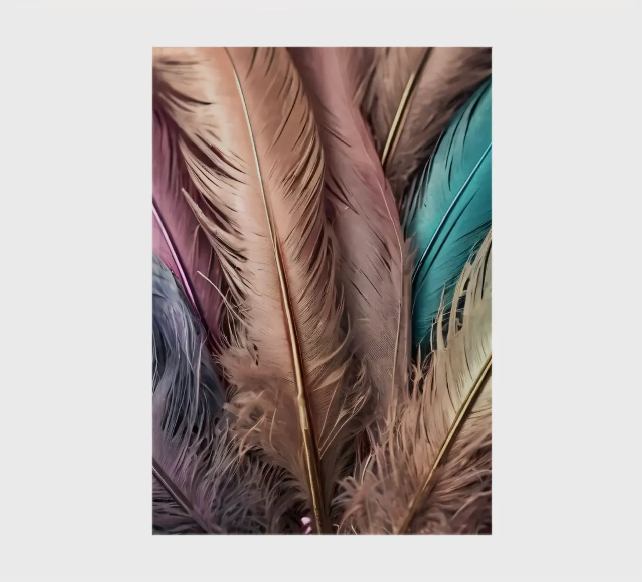 Colorful collection of feathers displayed creatively notebook by DesignDoodle