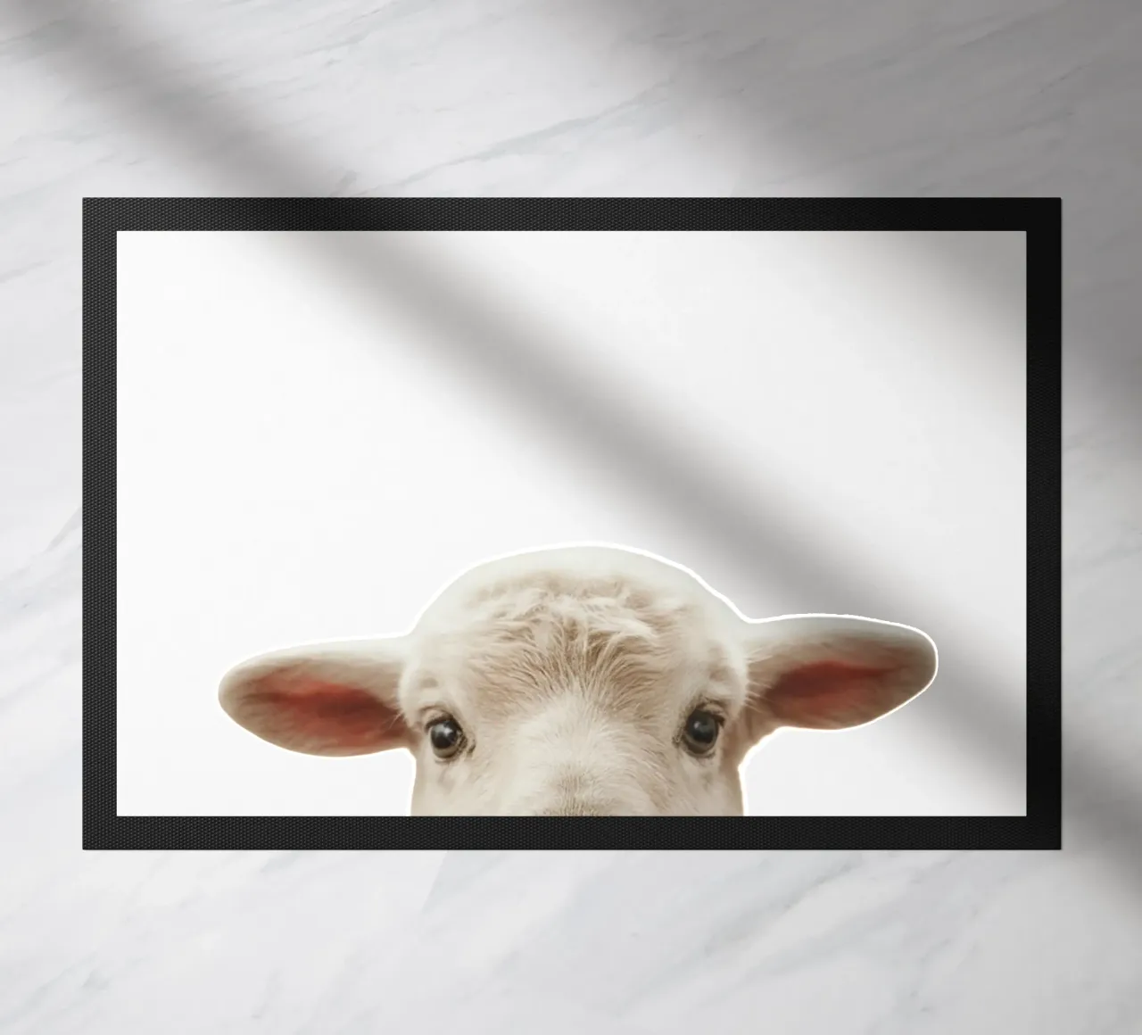 Agneau zerbino da fltmfrance