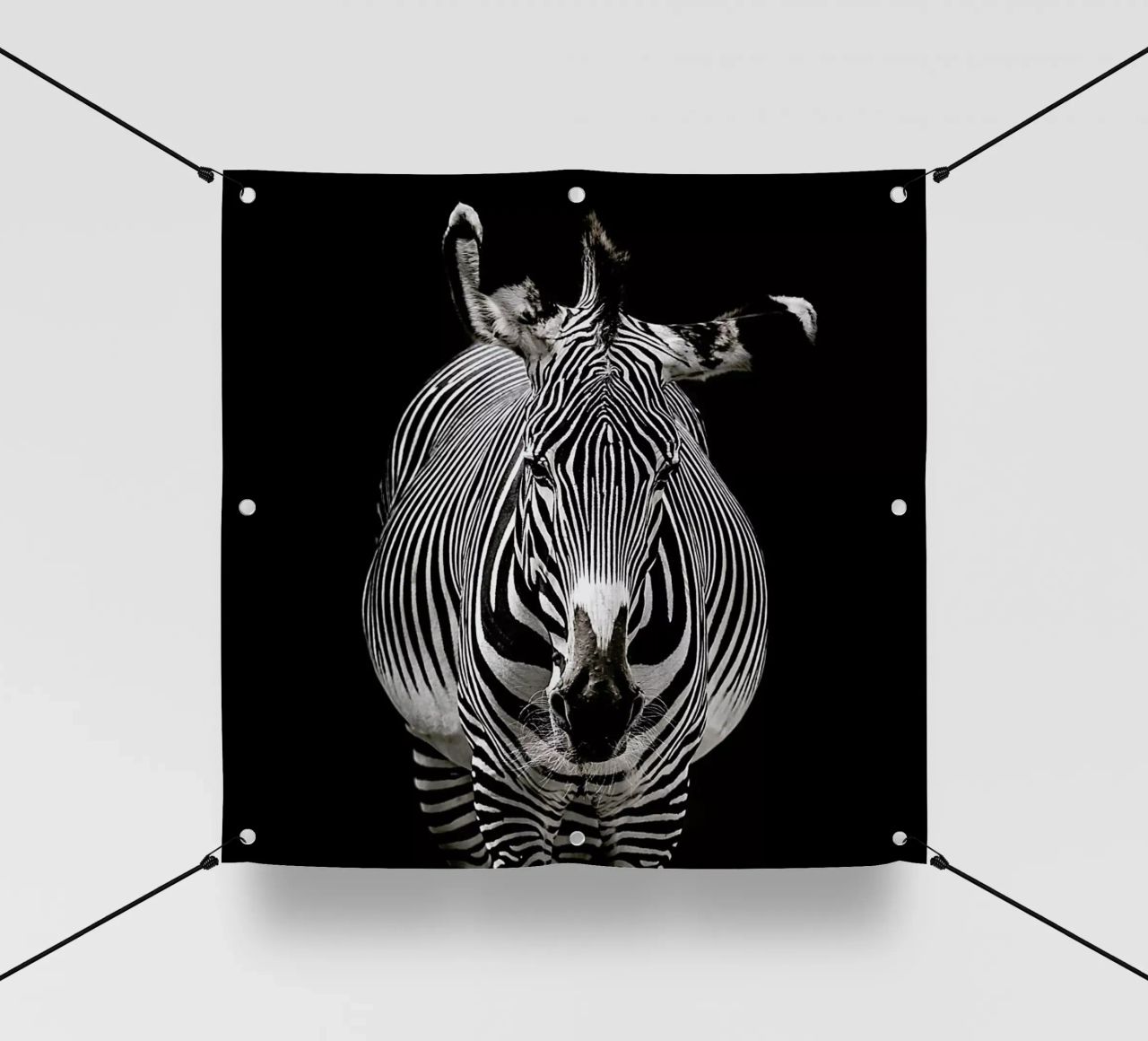 Hello Zebra by Lothare Dambreville telo in pvc da EyeEm Mobile GmbH