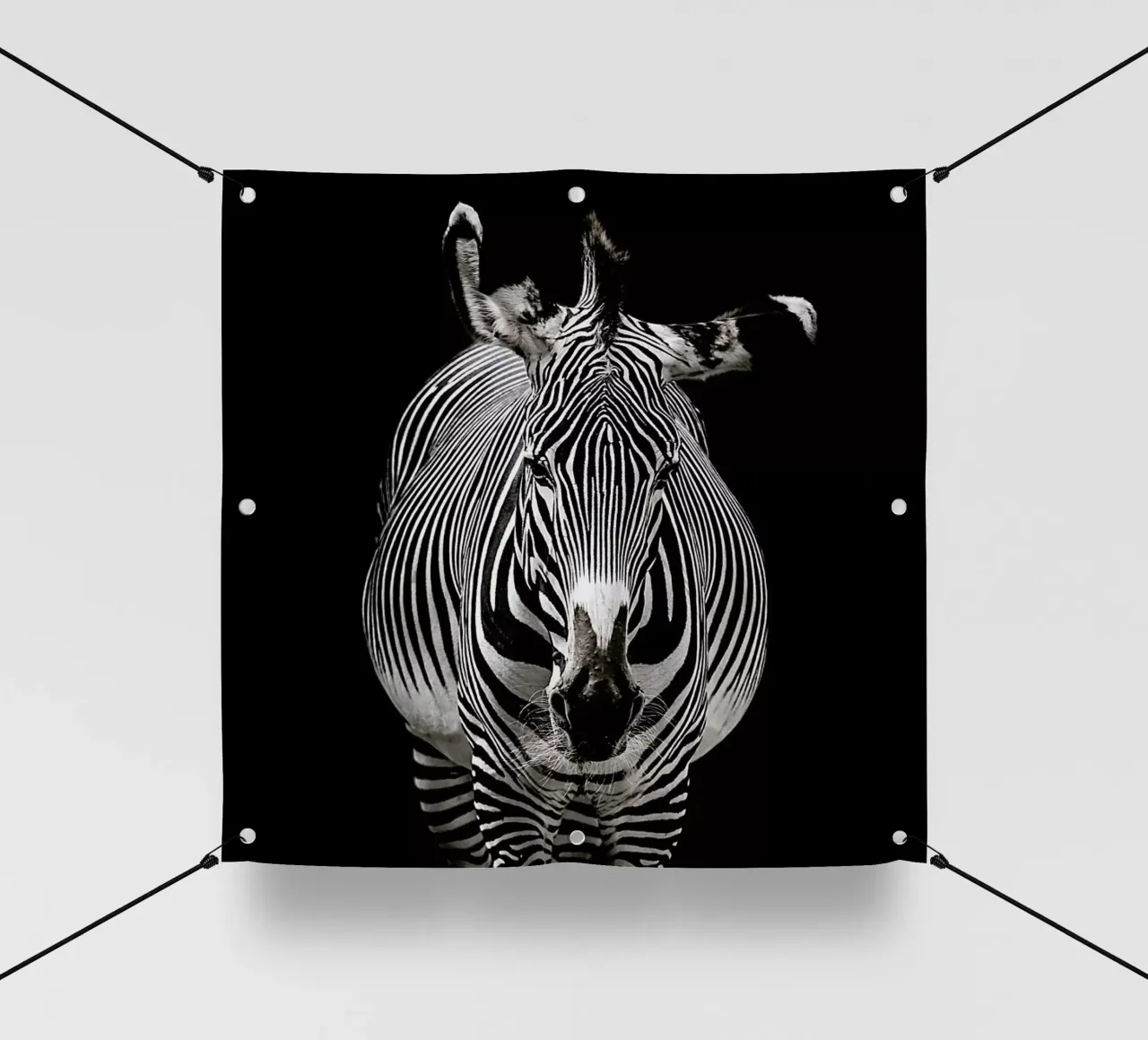 Hello Zebra by Lothare Dambreville telo in pvc da EyeEm Mobile GmbH