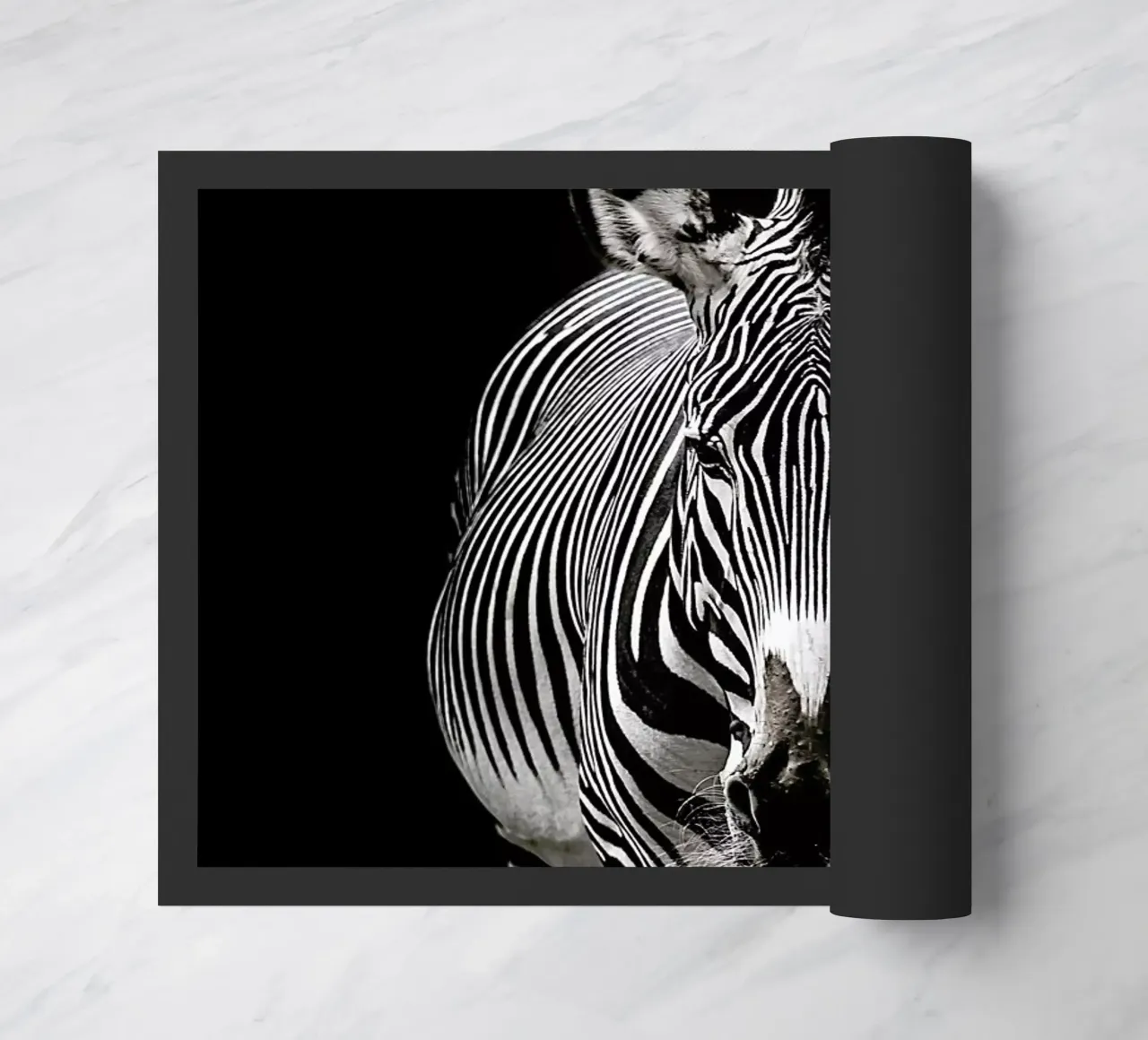 Hello Zebra by Lothare Dambreville zerbino da EyeEm Mobile GmbH