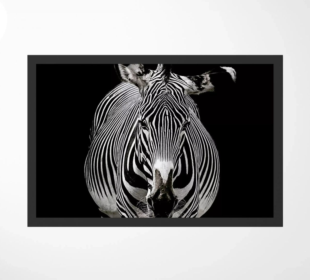Hello Zebra by Lothare Dambreville zerbino da EyeEm Mobile GmbH