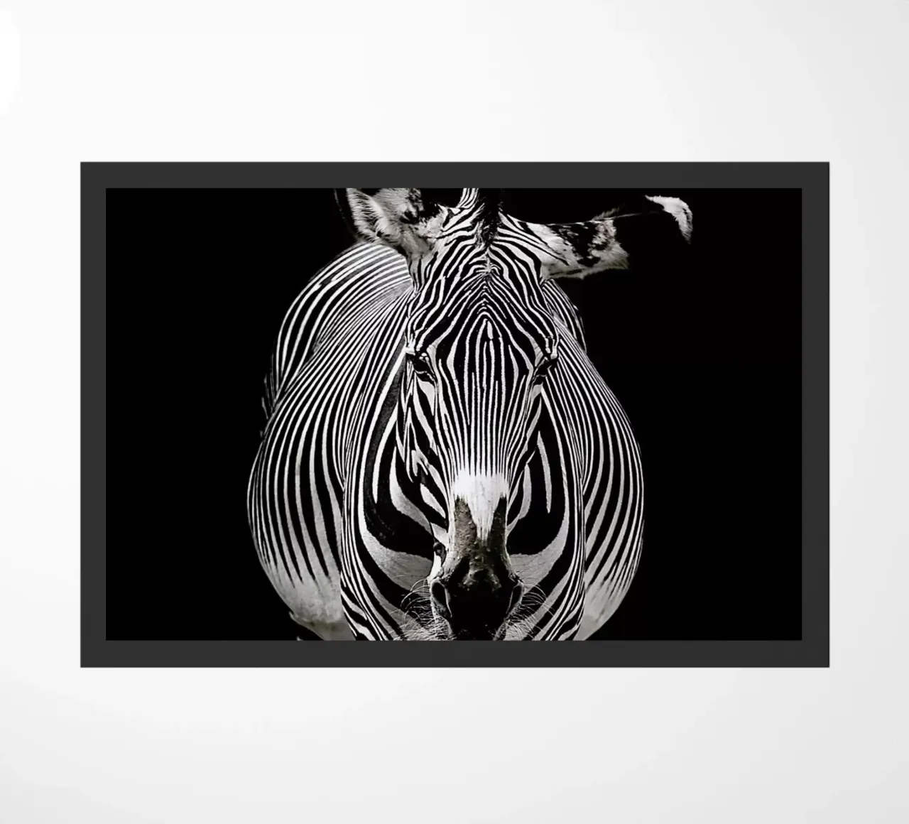 Hello Zebra by Lothare Dambreville zerbino da EyeEm Mobile GmbH