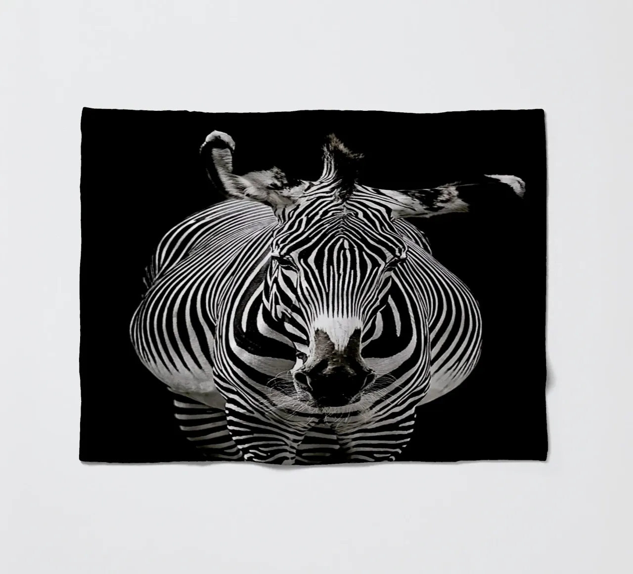 Hello Zebra by Lothare Dambreville coperta in pile da EyeEm Mobile GmbH