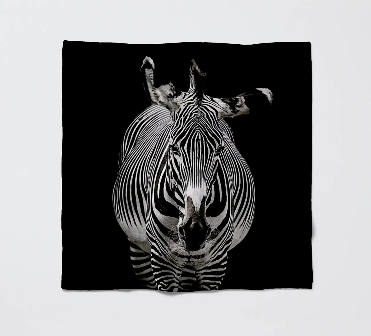 Hello Zebra by Lothare Dambreville coperta in pile da EyeEm Mobile GmbH