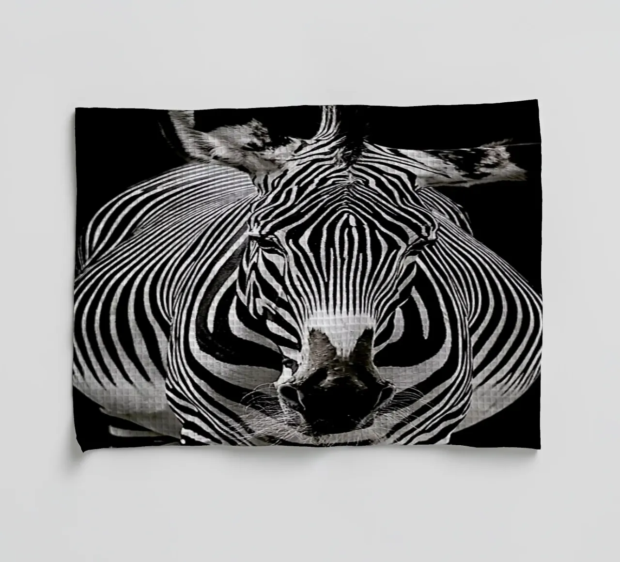 Hello Zebra by Lothare Dambreville torchon de EyeEm Mobile GmbH