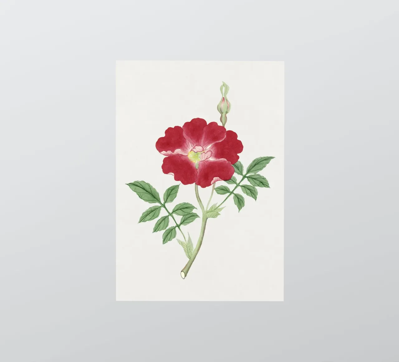 Ilustrazione di fiori giapponesi adesivo da Venus Art